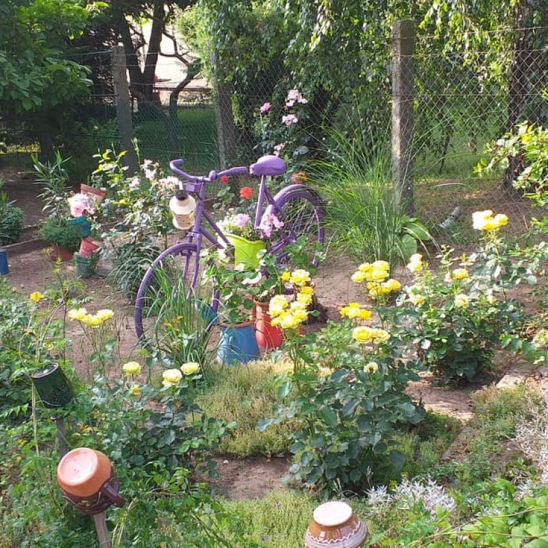 Benéné Szabó Henriett kertje 03